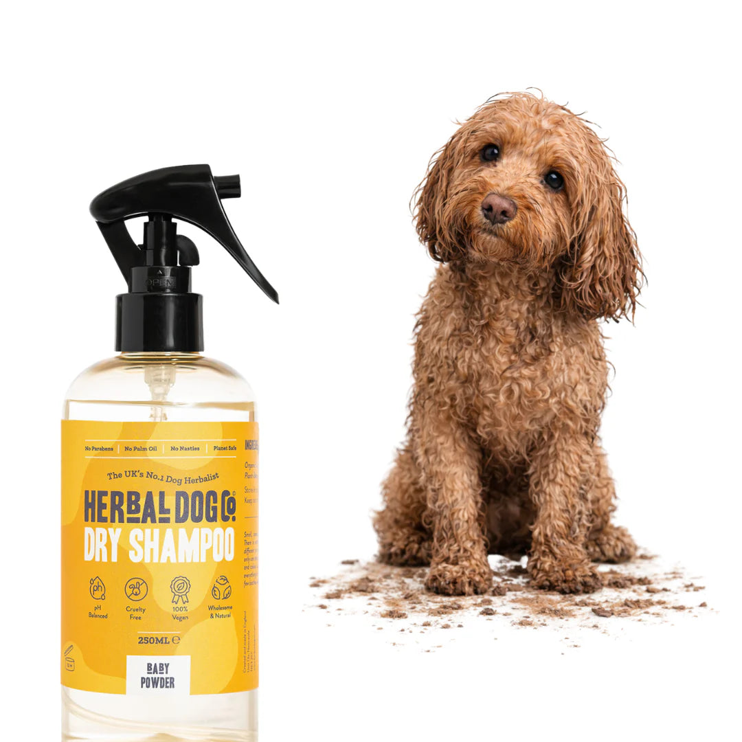 Herbal Dog Co Dry Shampoo Baby Powder 250ml