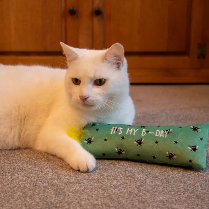 Ancol Pawty B-Day Cat Kicker