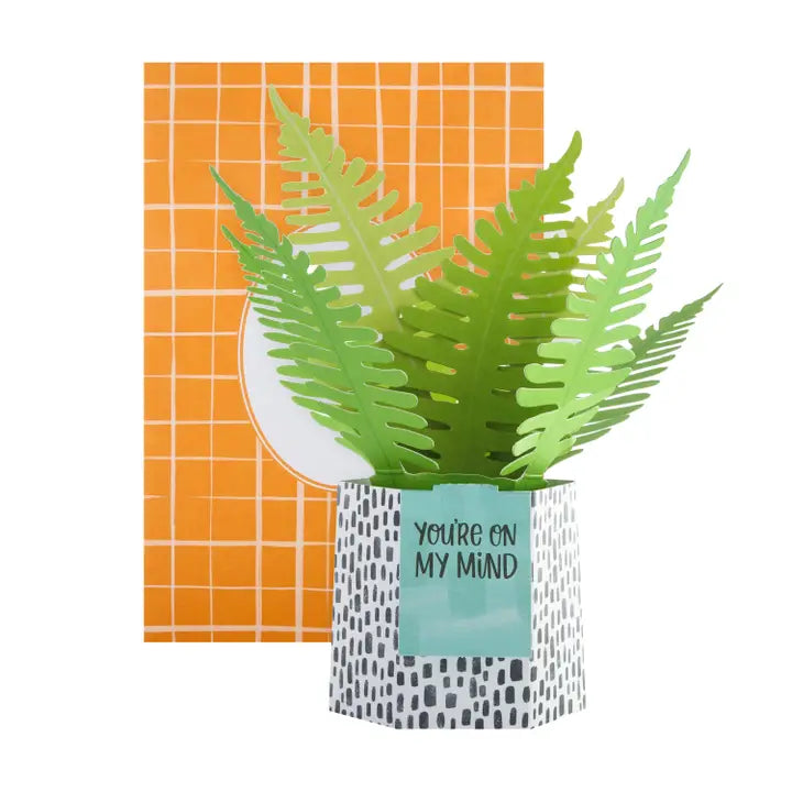 Hallmark Paper Wonder Pop-up Plant Card - Fern