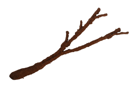 Komodo Tropical Vine Branch - Large