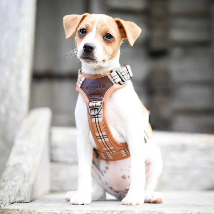 The aDoraBle Pooch Co. Streamline Harness Butterscotch Biscuit