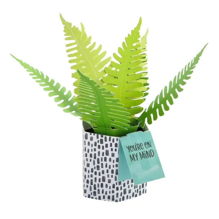 Hallmark Paper Wonder Pop-up Plant Card - Fern