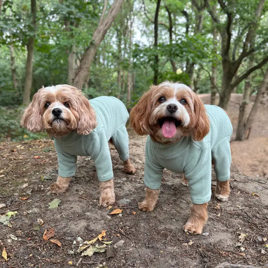Pet Wiz Four Legged Dog Fleece Mint