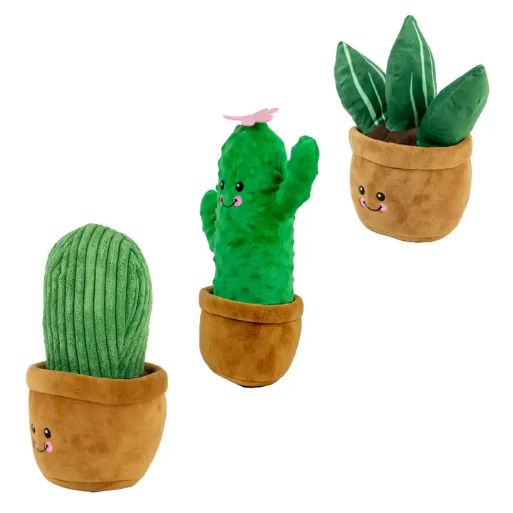Ancol Cuddle Cactus Plush Toy