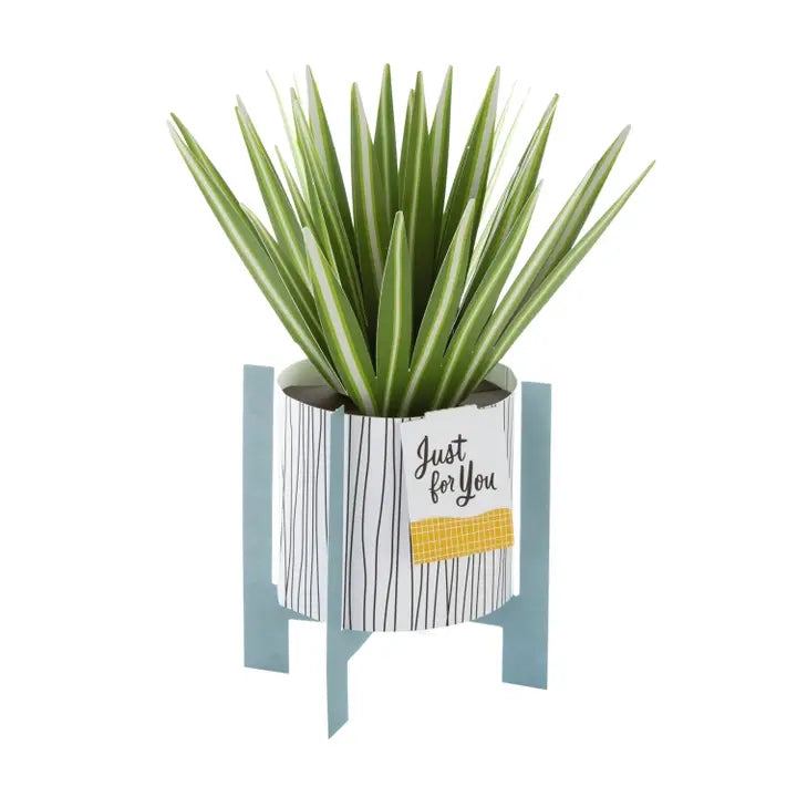 Hallmark Paper Wonder Pop-up Plant Card - Spider Plant