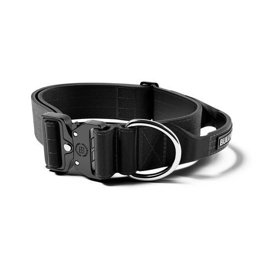 BullyBillows 5cm Collar Black
