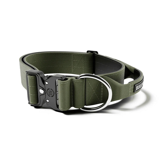 BullyBillows 5cm Collar Khaki