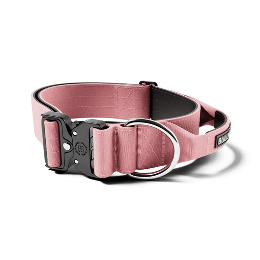 BullyBillows 5cm Collar Pink