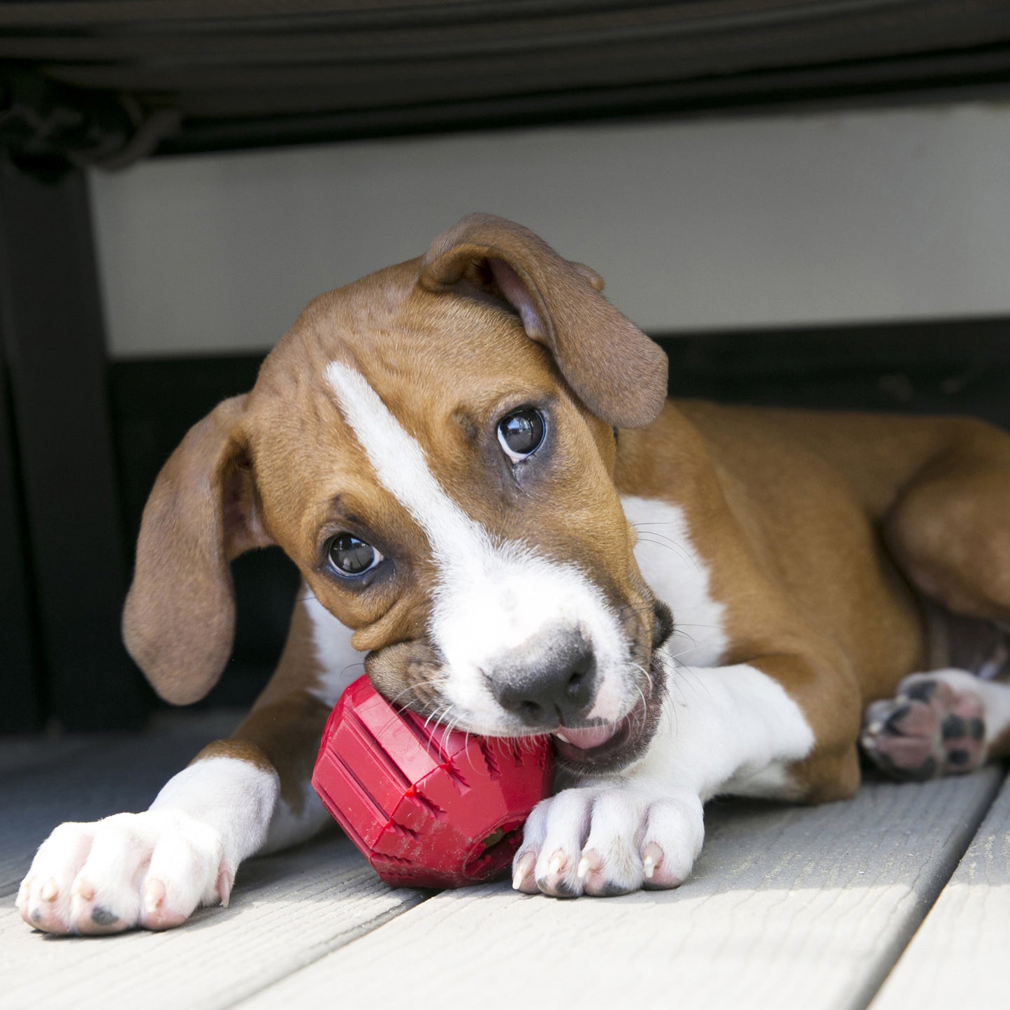 KONG Stuff-A-Ball Medium