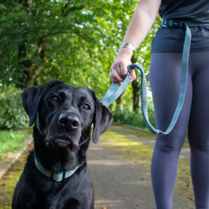 Ancol Extreme+ Running Lead Shock Absorb