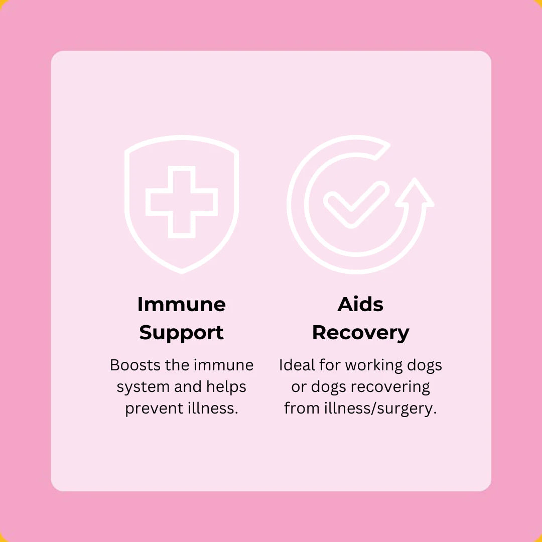 Axels Elixir Salmon Happy Bones