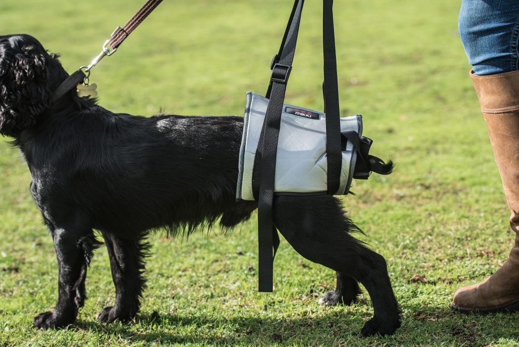 Mikki Helping Hands M