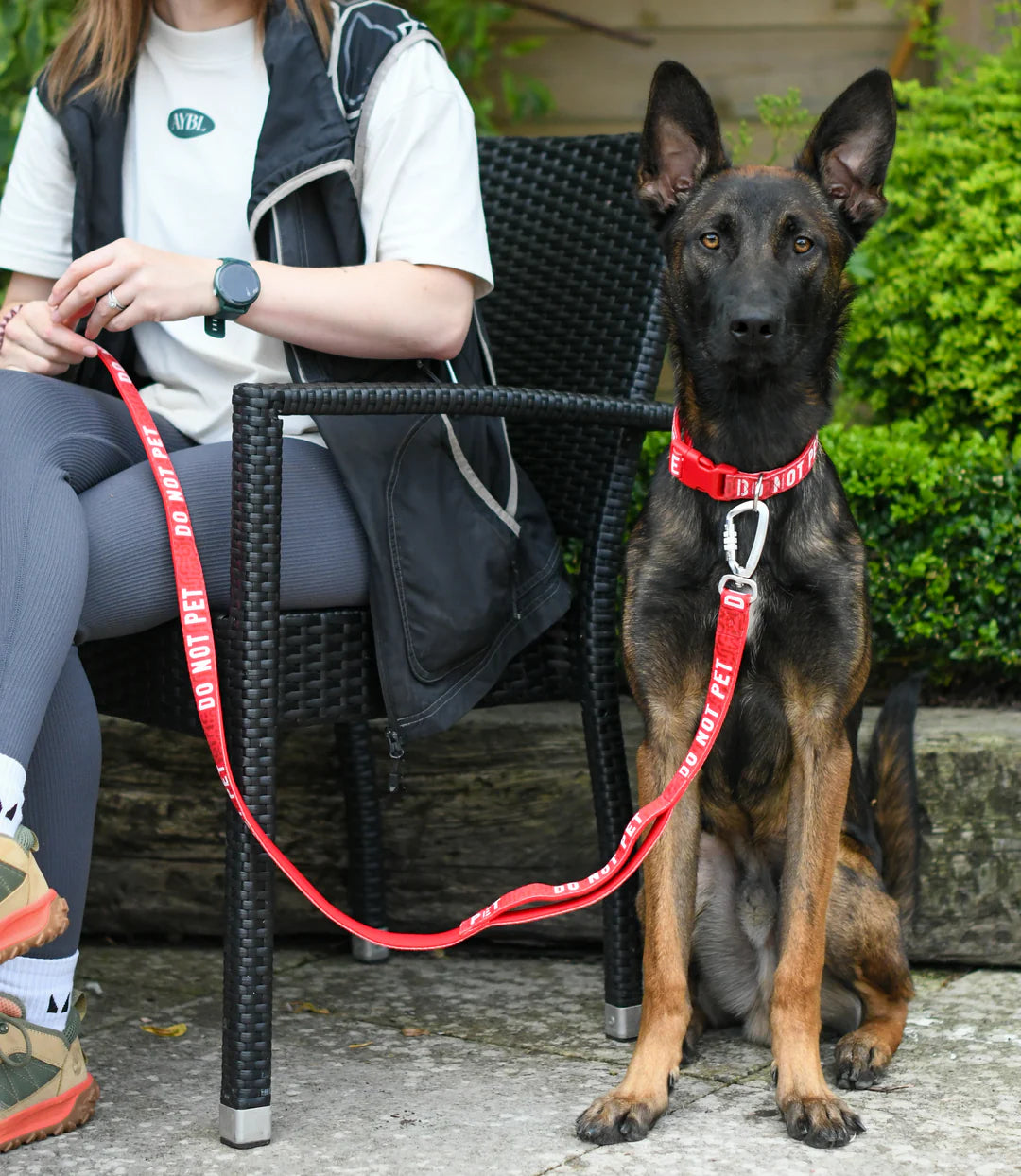 Twiggy Tags Awareness Lead - Do Not Pet