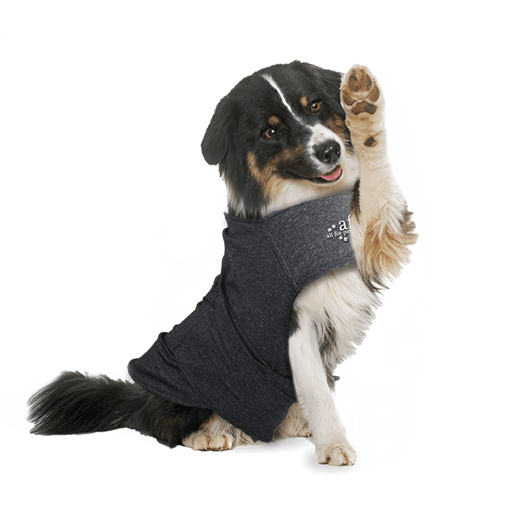 All For Paws Calm Paws Dog Anti Anxiety Vest
