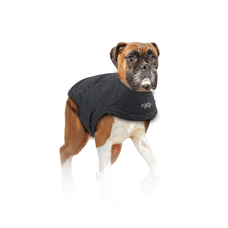 All For Paws Calm Paws Dog Anti Anxiety Vest