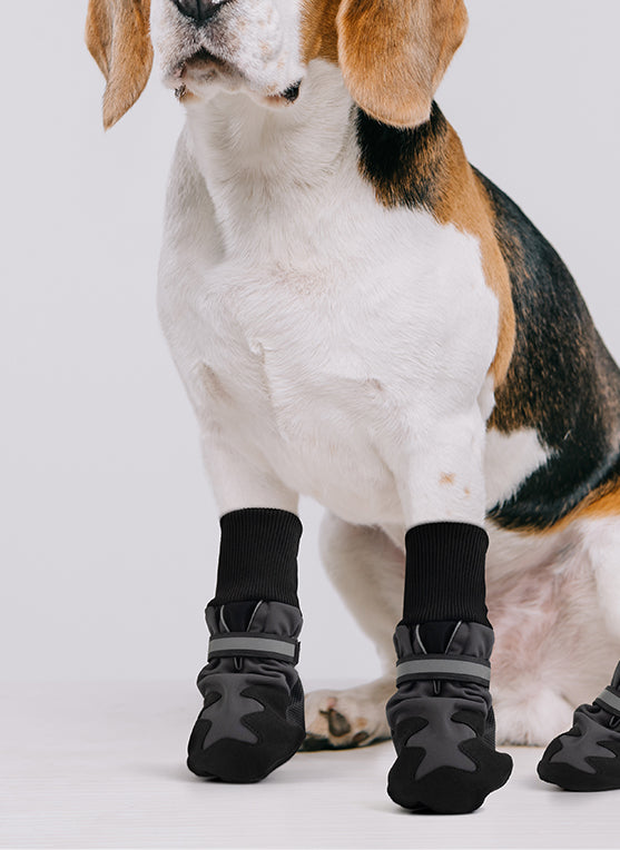 Pawise Doggy Boots Size 3 (Medium)
