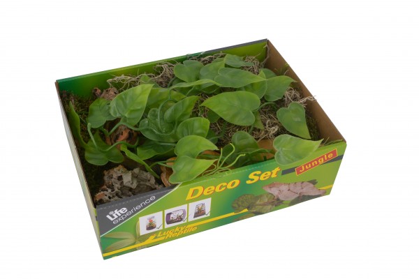 Lucky Reptile Life Experience Deco Set Jungle