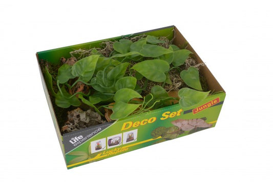 Lucky Reptile Life Experience Deco Set Jungle