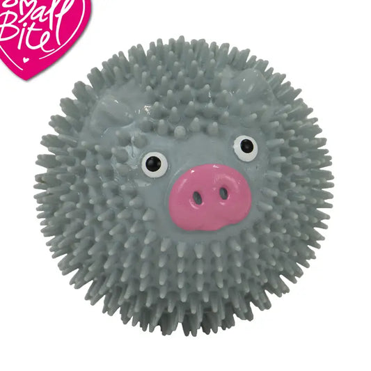 Small Bite Spiky Pig Squeak Ball