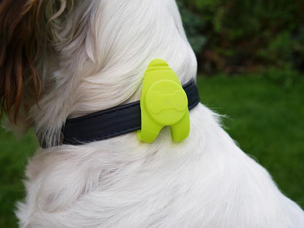 Rosewood Reflective Collar Light - Small