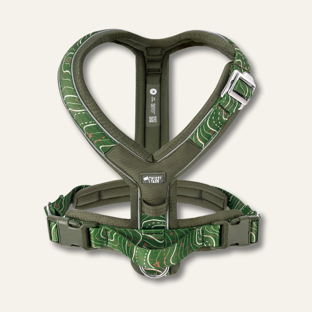 Twiggy Tags Apex Harness - Nomad