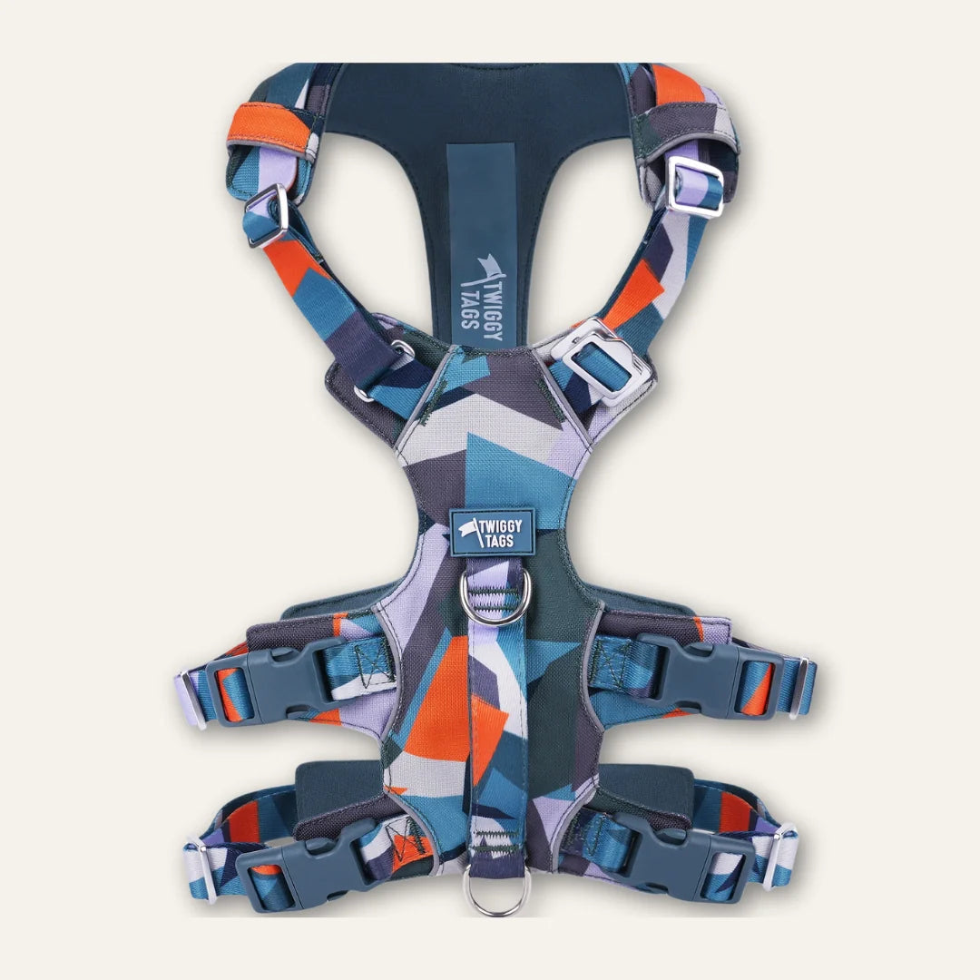 Twiggy Tags Scramble Harness - Ridge