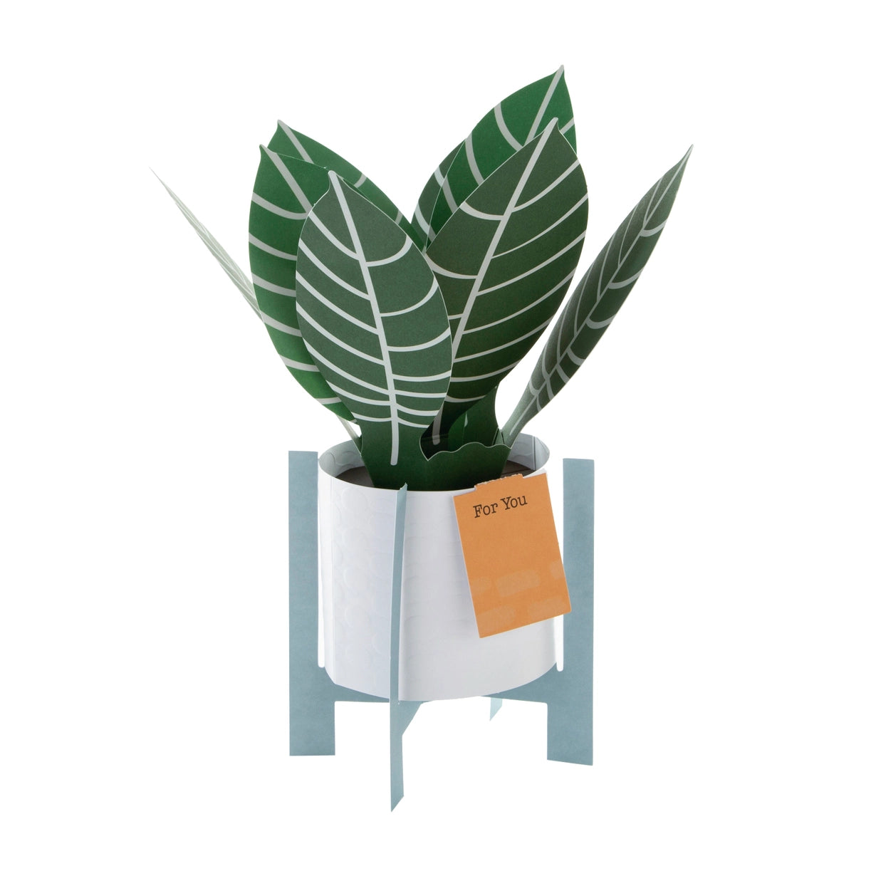 Hallmark Paper Wonder Pop-up Plant Card - Zebra Plant