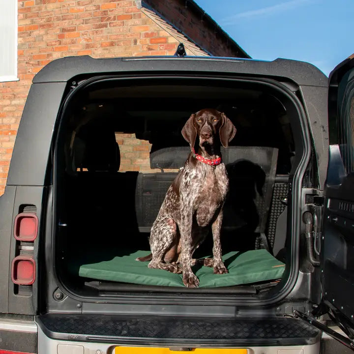 Ancol Waterproof Flat Pad Green