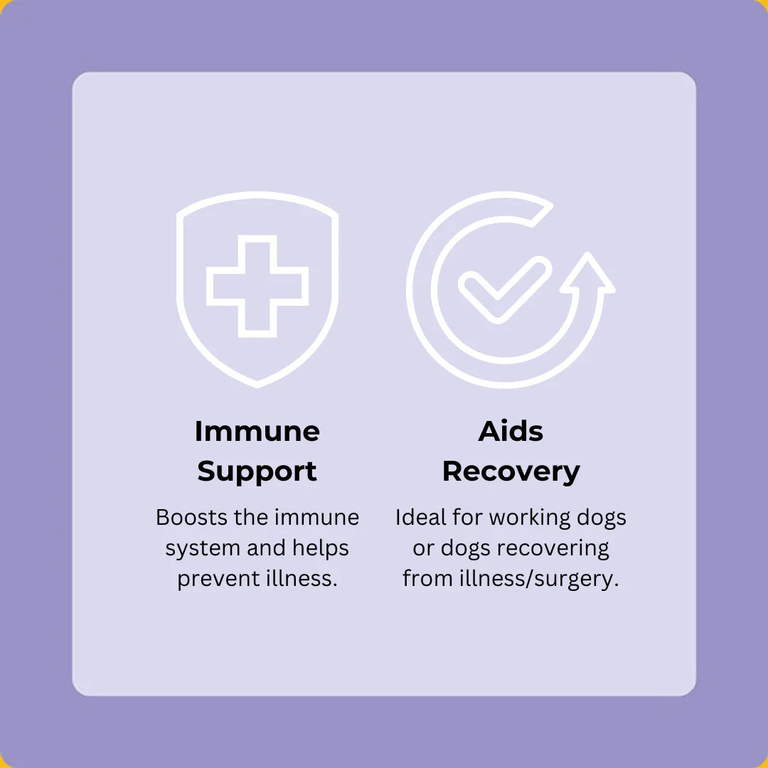 Axels Elixir Buffalo Happy Bones