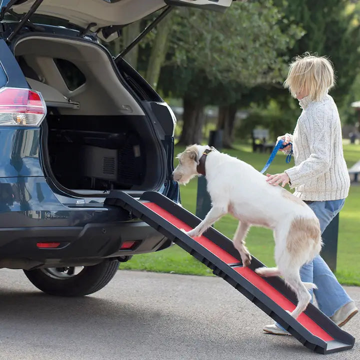 Henry Wag Lightweight Folding Dog Ramp