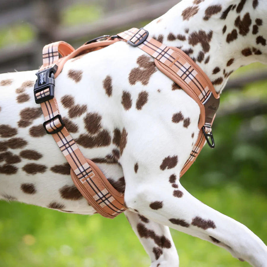 The aDoraBle Pooch Co. Streamline Harness Butterscotch Biscuit