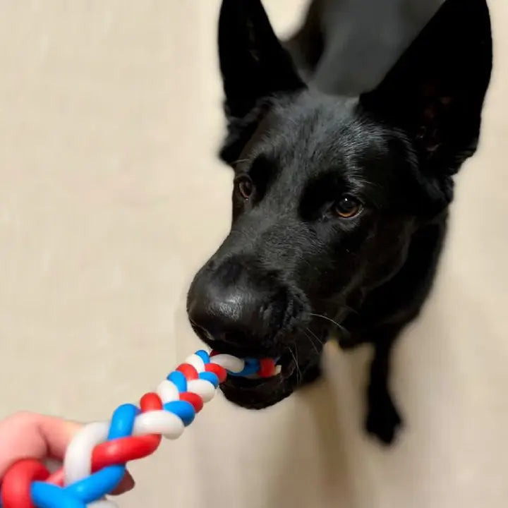 Ancol Playtime Chase Glow In The Dark Knot Dog Toy