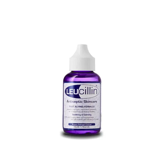 Leucillin Antiseptic Dropper 50ml