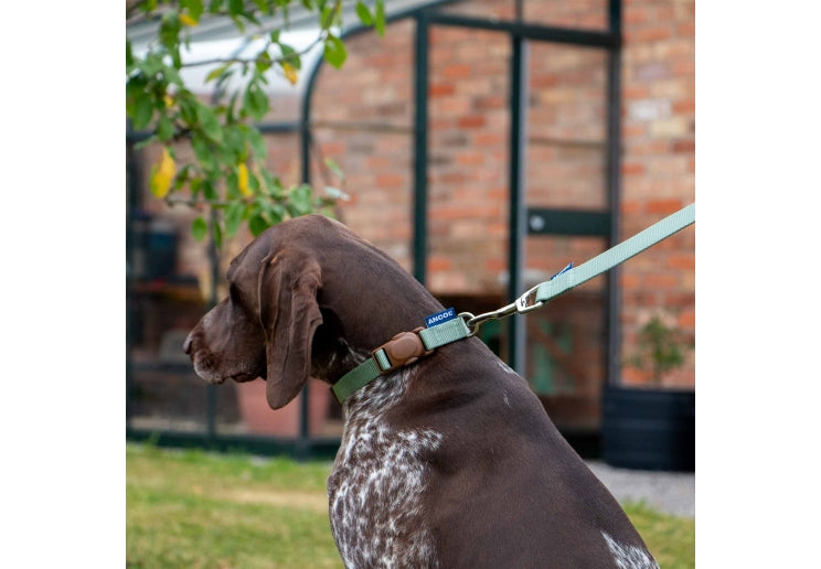 Heritage Spin Lock Lead - Sage