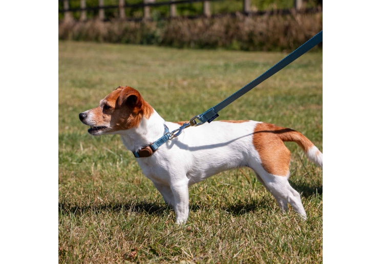 Heritage Spin Lock Lead - Blue