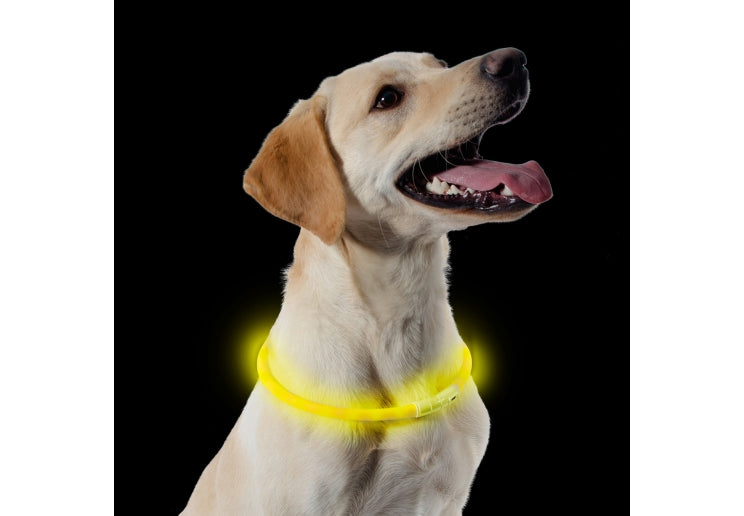 Ancol USB Flashing Band - Yellow