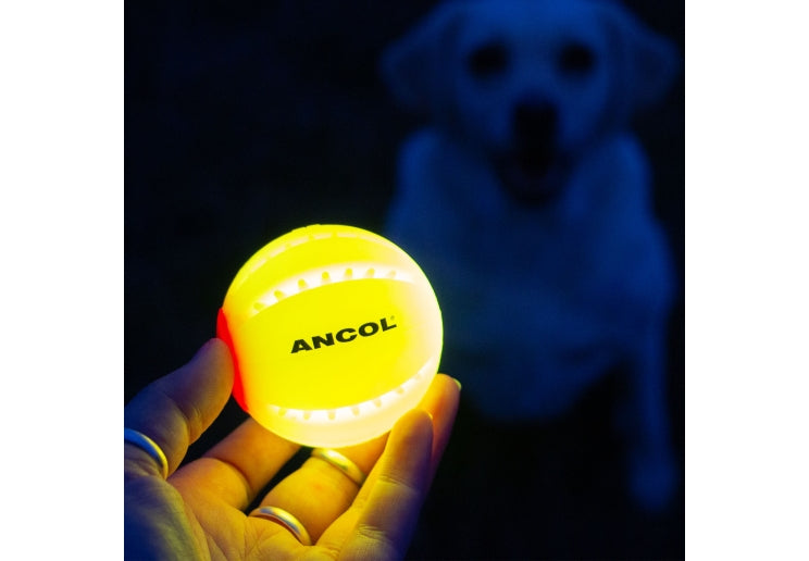 Ancol Rechargaeble LED Ball Yellow