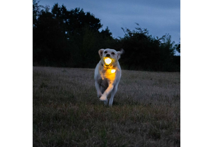 Ancol Rechargaeble LED Ball Yellow