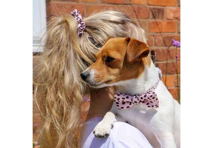 Ancol Dalmatian/Zigzag Patterned Bow Tie