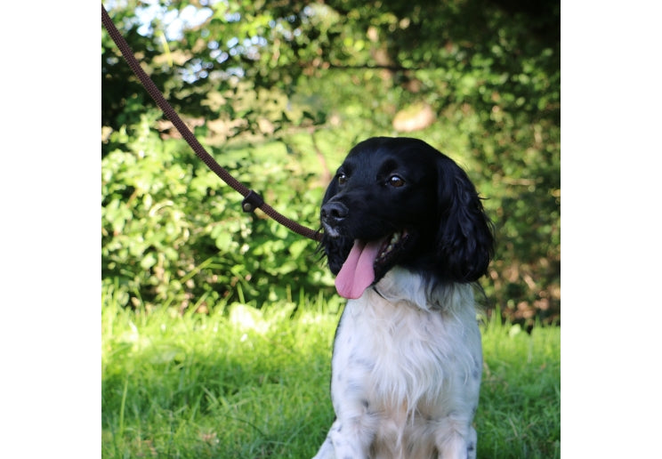 Ancol Heritage Deluxe Rope Slip Lead 1.5m - Brown