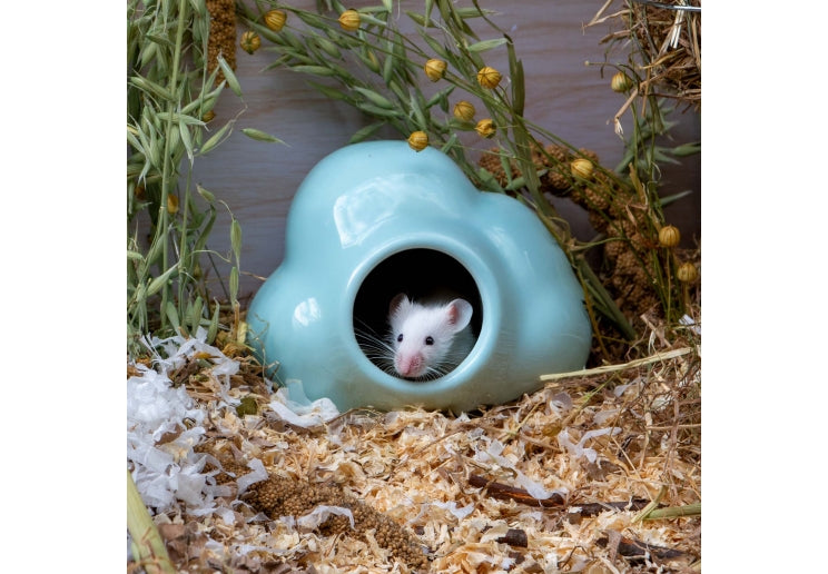 Ancol Small Animal Ceramic Hide - Cloud