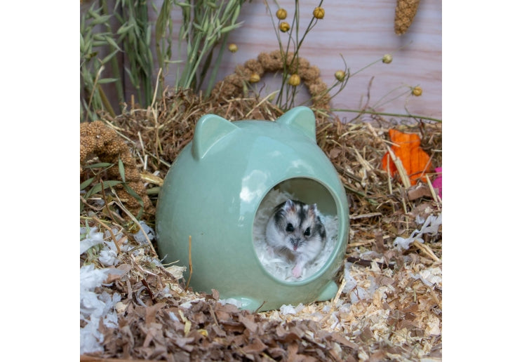 Ancol Small Animal Ceramic Hide - Cat Ears