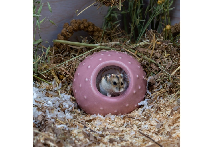 Ancol Small Animal Ceramic Hide - Bobble