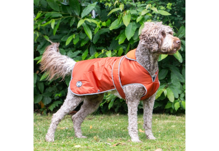 Ancol Stormguard Dog Coat Terracotta