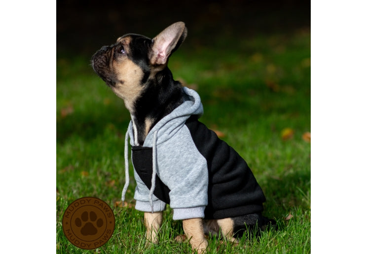 Ancol Black & Grey Dog Hoodie