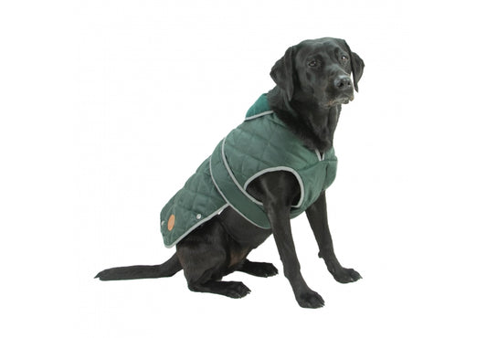 Ancol Heritage Green Quilted Coat