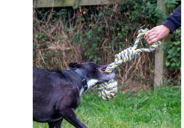 Ancol Playtime Jumbo Rope Tugger
