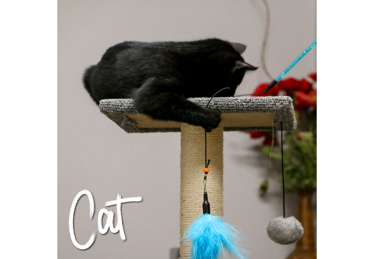 Ancol Feather Bell Cat Dangler