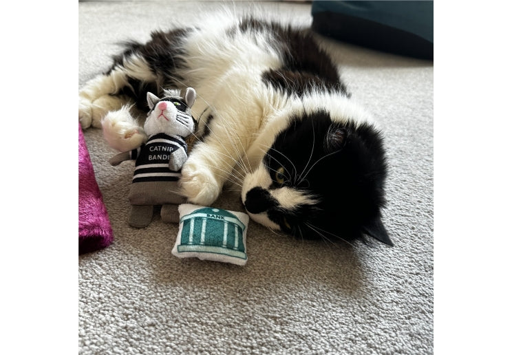 Ancol Catnip Thief Bandit Toy Set