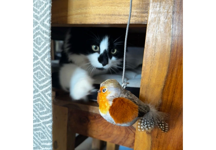 Ancol Catnip Toy Chirping Robin